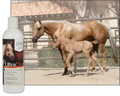 UltraCruz - sc-395301 Equine Bright White Horse Shampoo, 16 oz,Purple