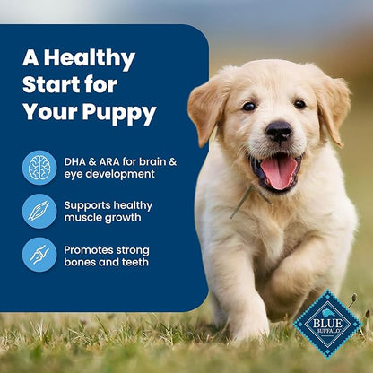 Blue Buffalo Life Protection Formula Puppy Dry Dog Food with DHA and ARA, Made with Natural Ingredients, Chicken & Brown Rice Recipe, 5-lb Bag