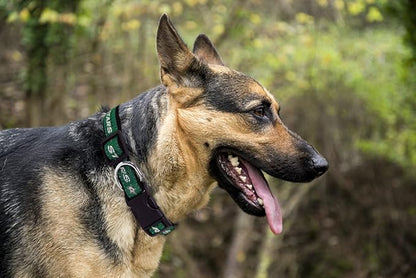 Pets First NHL Collar for Dogs & Cats. Adjustable, Cute, & Stylish! The Ultimate Hockey Fan Collar!