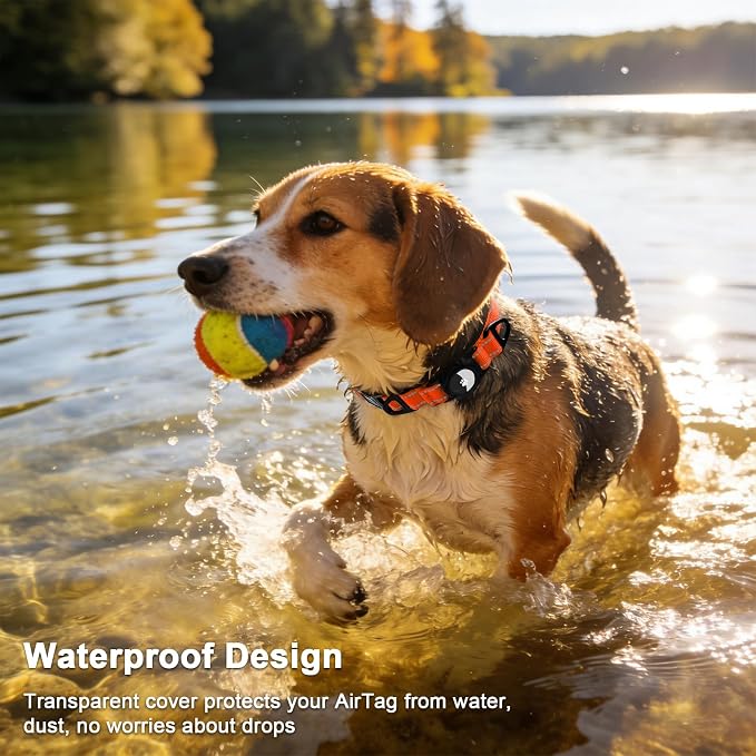 Taglory AirTag Dog Collar with Waterproof Holder for Medium Dogs, Orange, M | Reflective for Night Walks & Low-Light Safety, Track Your Pup Peace of Mind, Adjustable Soft Padded, No More Dangling Tags