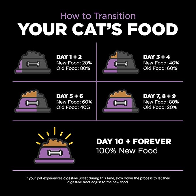 Go! Solutions Carnivore Chicken, Turkey + Duck Grain-Free Dry Cat Food, Our Highest-Protein Kibble Made with Real Meat & Fish, Cranberries for Urinary Health, for Kittens, Adults & Seniors, 16 lb Bag