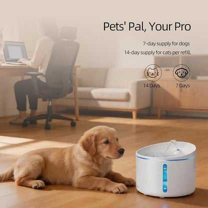 DOGNESS Pet Water Fountain for Cat & Small Dog 108oz/3.2L (D06-White) | Automatic Triple Filtration System,Low-Water Alert,indoor,Melamine materials,whisper-quiet