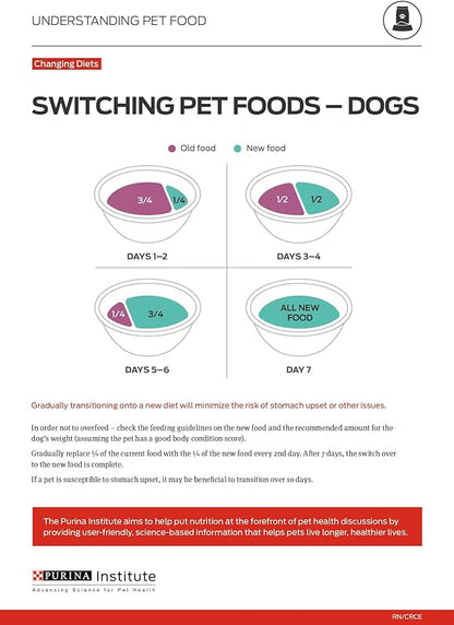 Purina ONE High Protein Wet Dog Food True Instinct Tender Cuts in Dog Food Gravy with Real Beef and Bison - 13 oz. Cans,(Pack of 24)