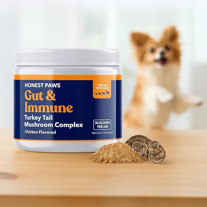 Honest Paws Turkey Tail Mushroom for Dogs - Digestive and Immune Support - Shiitake, Reishi, Maitake Mushroom Supplement Powder for Dogs - No Filler, No Additives - (30 Scoops)