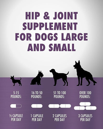 HEALTH DIRECT – RenuVite 4 Dogs | Hip & Joint Supplement for Senior Dogs | Supports Mobility & Energy | Anivestin, Collagen, Aronia Berry, DHEA | 20-120 Servings, 60 Capsules