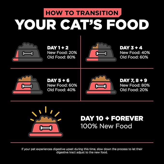 Go! Solutions Carnivore Salmon + Cod Grain-Free Dry Cat Food, Our Highest-Protein Kibble Made with Real Meat & Fish, Chicken-Free Recipe, for Kittens, Adults & Seniors, 16 lb Bag