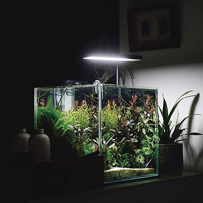 Allcolor Ultra Clear Rimless Aquarium Tank 6-60 gallons Low Iron Glass (7Gal - Top Glass Canopy)