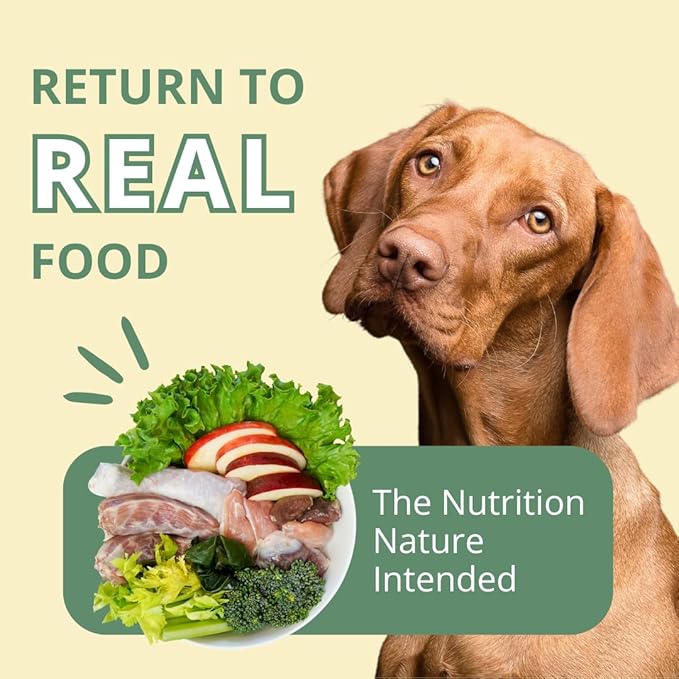 Steve's Real Food Freeze-Dried Raw Nuggets - Turducken Recipe - Raw Pet Food for Dogs - 20 oz