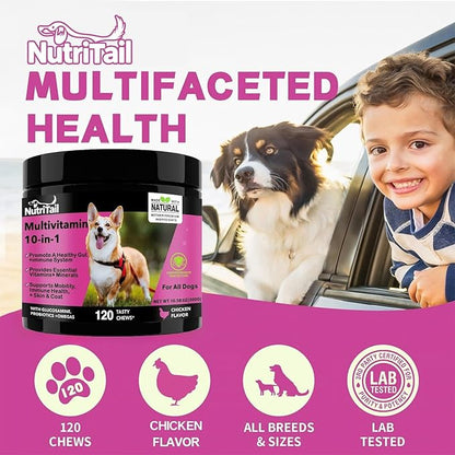 NutriTrail Multivitamin for Dogs – 10-in-1 Soft Chews with Glucosamine, Probiotics, Omega-3, Vitamins & Minerals – Supports Hip & Joint, Digestion, Skin & Coat, and Immune Health – Chicken, 120 Ct