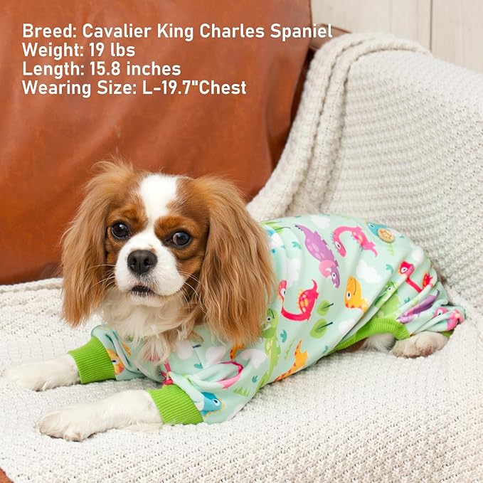 KYEESE Dog Pajamas Soft Outfit Velvet Pjs Comfy Clothes for Dogs Boy Girl Stretchy Pet Jammies Onesie Small Dog Pajamas with Colorful Dinosaurs, Large