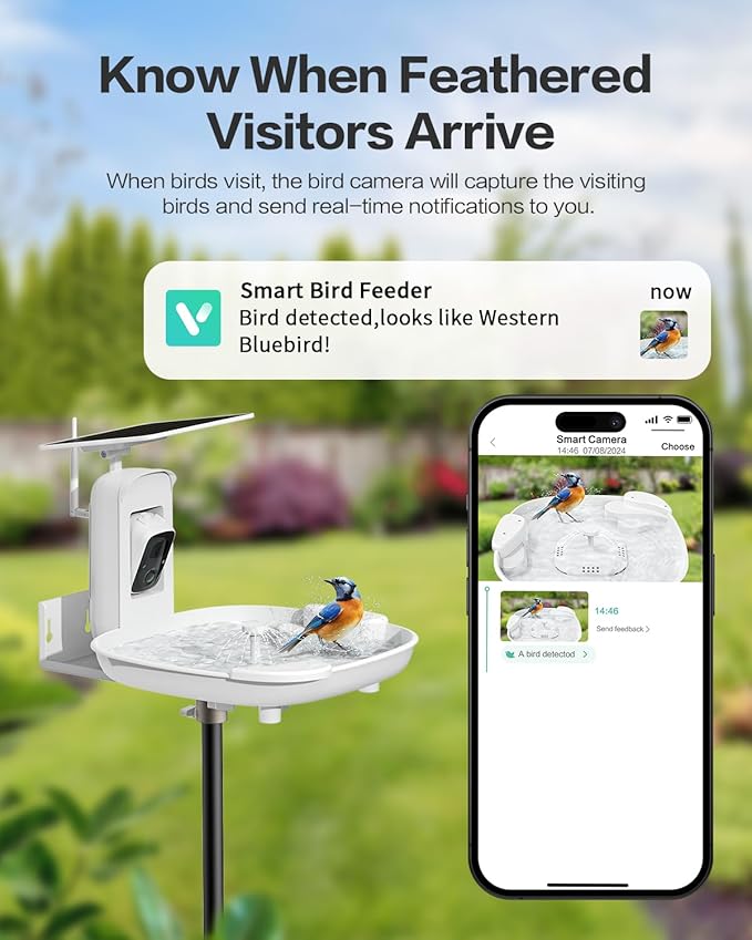 HARYMOR Bird Bath with Camera, Automatic Water Flowing, 2K Bird Camera Captures Bird Activity, Arrival Alerts, Smart AI Identifies Species, Live Video, Solar-Powered, Unheated—Enjoy Watching Birds