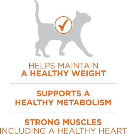 Purina ONE High Protein, Healthy Plus Ideal With Chicken Dry Cat Food Control Formula - 7 lb. Bag