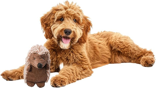 SPOT Corduroy Hedgehog Dog Toy with Squeaker, Textured Plush Toy for Small and Medium Dog Breeds, Light to Moderate Chewers, 8 Inch, Assorted Colors