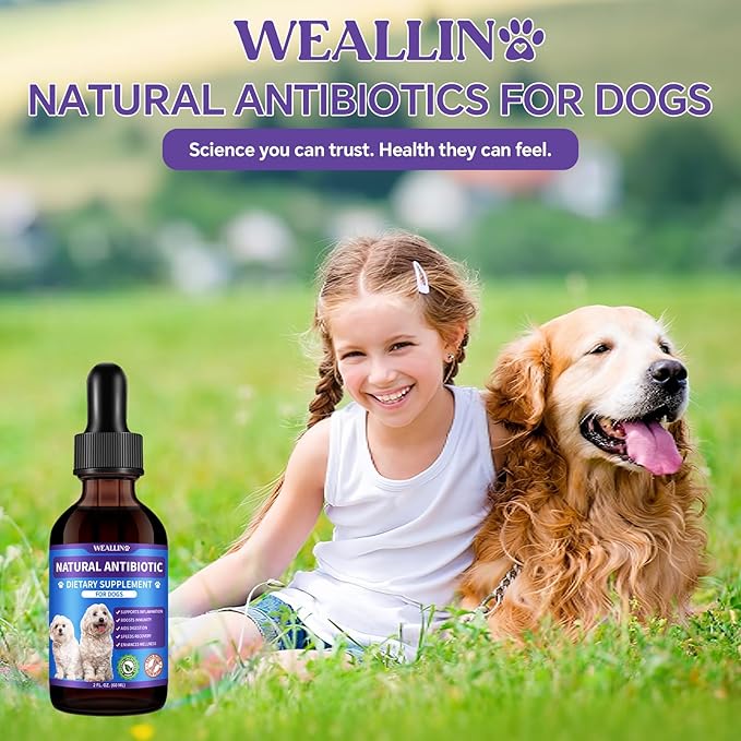 Dog Antibiotics Support - 2PCS Natural Antibiotics Care for Dogs Herbal Supplement for Cough Allergy Itch Relief Immune Support Dog UTI Comfort for All Breeds & Ages - 120 ml/4 Fl Oz Bacon Flavor