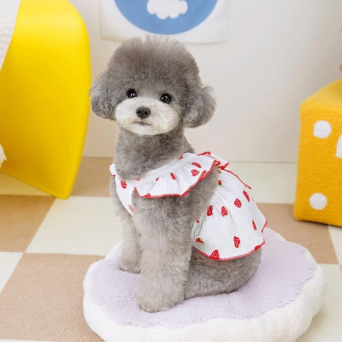 Dog Dresses for Small Dogs Girl Female Clothes Cat Clothes Cat Dress Cute Cotton Extra Summer Bow Decor Printed Strawberry Dog Birthday Outfit Small Puppy Clothes White XL