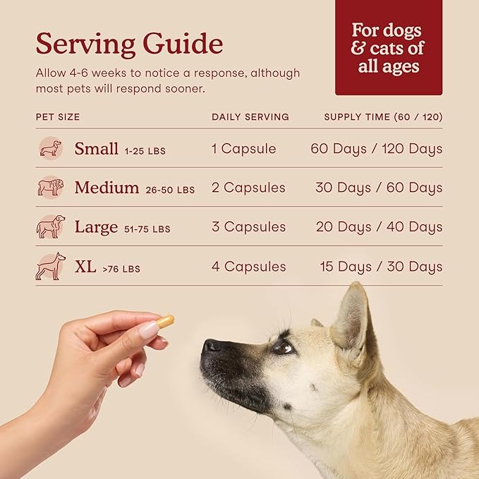 Fera Pets Cardiac Support - Cat & Dog Heart Supplement with Taurine, L-Carnitine, & CoQ10 - Promotes Normal Circulation and Heartbeat - 120 Capsules