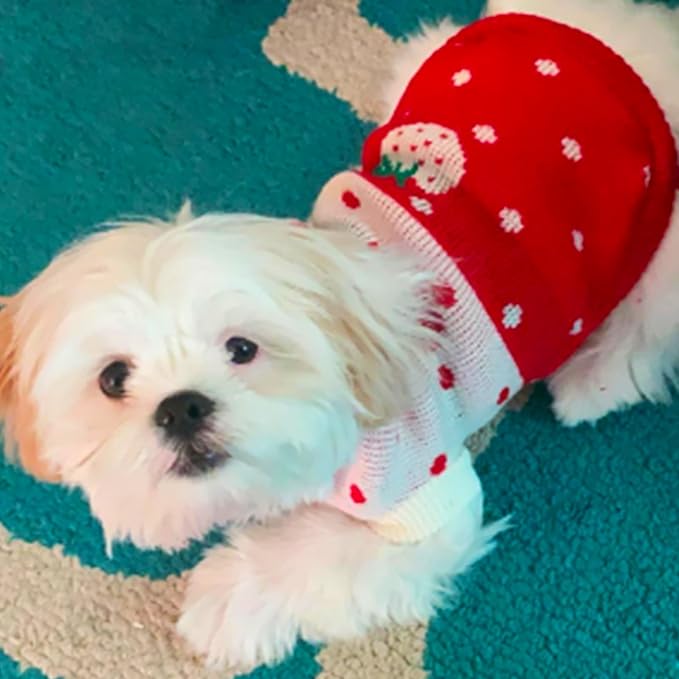 CHBORCHICEN Pet Dog Sweaters Classic Knitwear Turtleneck Winter Warm Puppy Clothing Cute Strawberry and Heart Doggie Sweater (Red1, X-Small)