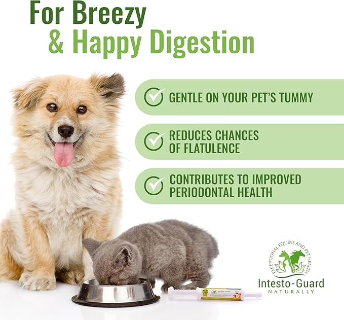 Probiotics Paste for Dogs Prebiotic for Canine, Gut Support, & Immune Boost, All Natural with 1 Billion per ML Includes (MOS)+ Beta Glucans + D-Mannose, No Animal by-Products - 30ML Single Tube