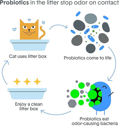 Boxie Probiotic Lightweight Cat Litter 40 Day Odor Control, Odor Eliminating Probiotics, 99.9% Dust Free, Multi-Cat, 11.5 lb