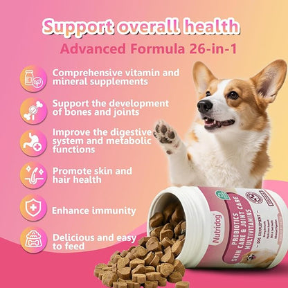 Multivitamin Chews for Dogs - Dog Vitamins with Probiotics, Glucosamine & Digestive Enzymes, Supports Joint Health, Immune System & Gut for Senior & Puppy,Chicken Flavor, 30Ct (ND-015)