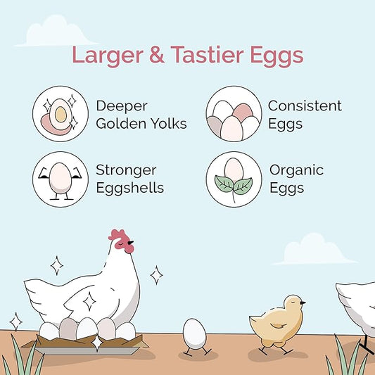 Mile Four Chicken Grit (50 lbs) for Layer & Grower Chickens Age 8-20+ Weeks - 100% Natural Mineral Chicken Grit Quartzite, Poultry Grit, USA Mined