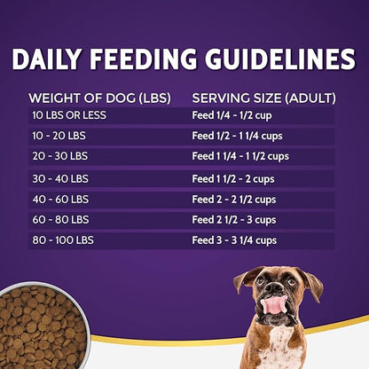 Zignature Kangaroo Limited Ingredient Formula Dry Dog Food 4lb