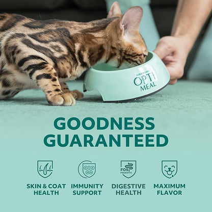 Optimeal Grain-Free Wet Cat Food Pouches – Shrimp & Salmon in Savory Gravy, High Protein & Moisture-Rich Tender Morsels, Indoor Adult Cat Food Wet with Natural European Ingredients, 3 oz (Pack of 12)