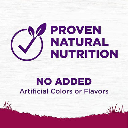 Wellness Complete Health Small Breed Puppy Dry Dog Food, Wholesome Grain Kibble, Natural, Turkey, Oatmeal, and Salmon Recipe, 4 lb Bag