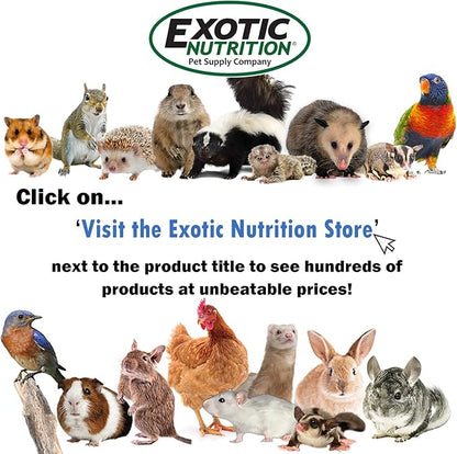 Exotic Nutrition Pasture Plus+ Dandelion Delicacy - Healthy Natural High-Fiber Dried Flower Treat - Guinea Pigs, Rabbits, Chinchillas, Prairie Dogs, Degus, Hamsters, Gerbils & Other Small Pets