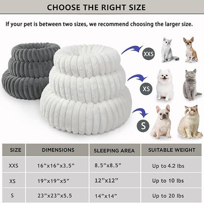 Small Cat Beds for Indoor Cats - Washable Round Kitten Bed, Cute Pumpkin Shape, Comfy Sleeping for Puppy, Small Dogs, Kitty - 19 Inch, Cream