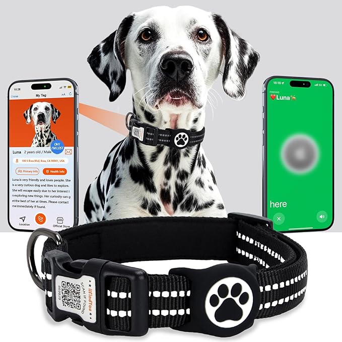 AirTag Dog Collar for Large Dogs, IP68 Waterproof Air Tag Dog Collar with Apple AirTag Holder, Reflective, QR Code Personalized Dog Tags(Black, Large)