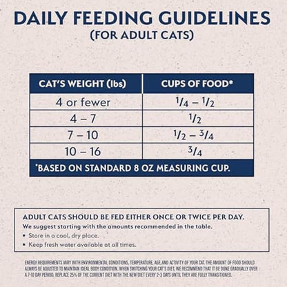 Natural Balance Limited Ingredient Adult Grain-Free Dry Cat Food, Salmon & Green Pea Recipe, 10 Pound (Pack of 1)
