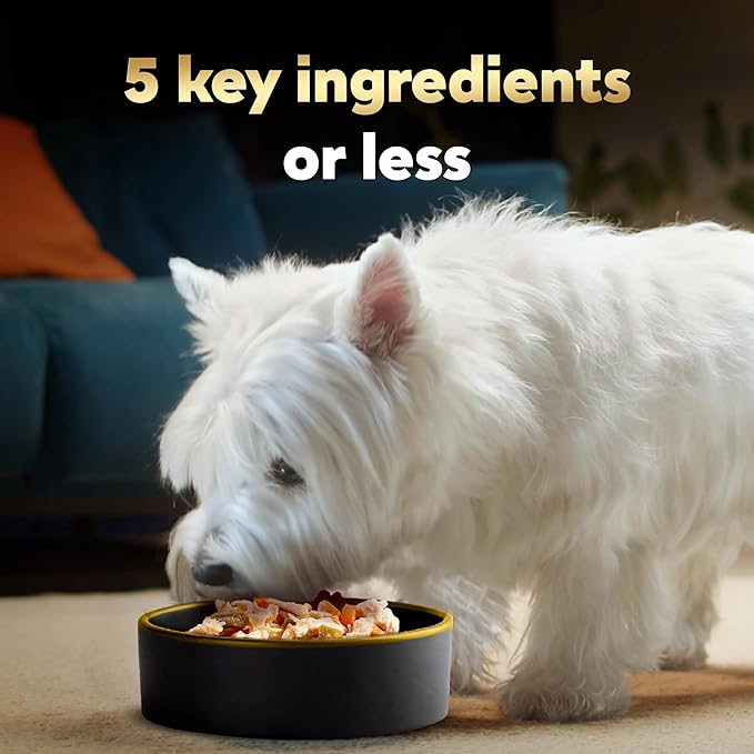 Cesar Simply Crafted Adult Wet Dog Food Toppers for Dry Food, Beef, Chicken, Purple Potatoes, Peas & Carrots, 1.3 oz Tubs, 10 Count