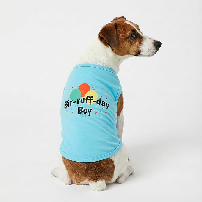 Fitwarm Birthday Boy Dog Shirt, Bir-Ruff-Day Boy Funny Dog Clothes for Small Dogs Boy, Pet Birthday Outfit, Cat Tshirt, 100% Breathable Cotton, Aqua Blue, XS
