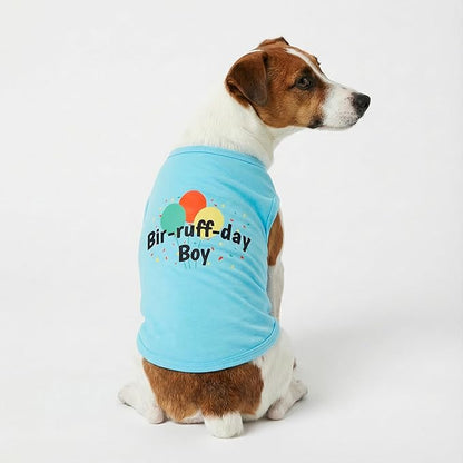 Fitwarm Birthday Boy Dog Shirt, Bir-Ruff-Day Boy Funny Dog Clothes for Small Dogs Boy, Pet Birthday Outfit, Cat Tshirt, 100% Breathable Cotton, Aqua Blue, Medium