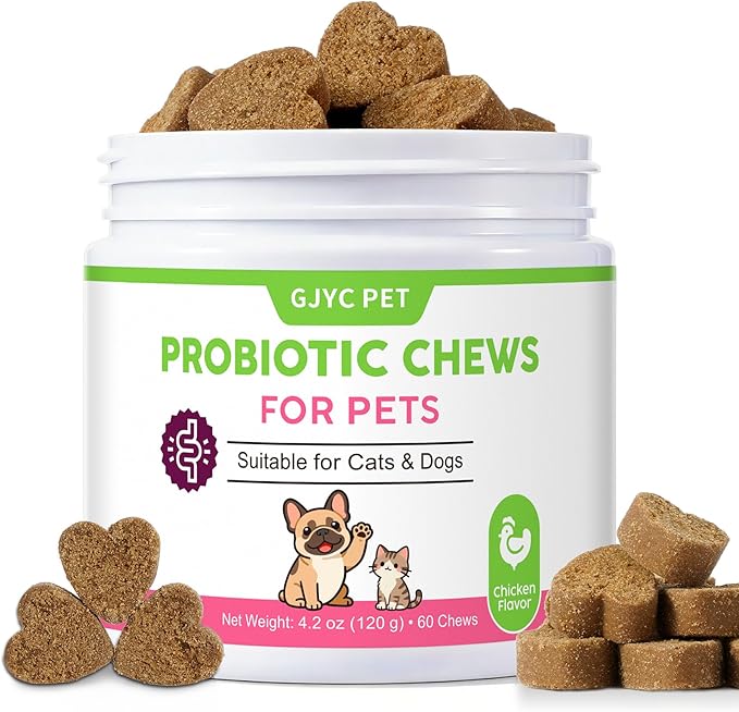 Probiotic Soft Chews for Dogs & Cats - 600M CFU Multi-Strain Probiotics, Prebiotics & Digestive Enzymes - Chicken Flavor Daily Gut Health Supplement - 60 Soft Chews (120g)