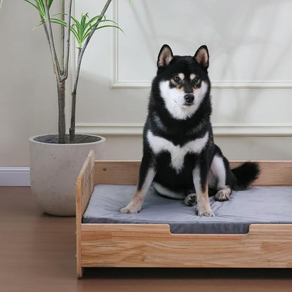 Elevated Dog Bed for Small to Medium Dogs – 32” x 21” Indoor Wooden Pet Sofa with Soft Cushion, Mid-Century Modern Style, Sturdy & Stylish (Natural)