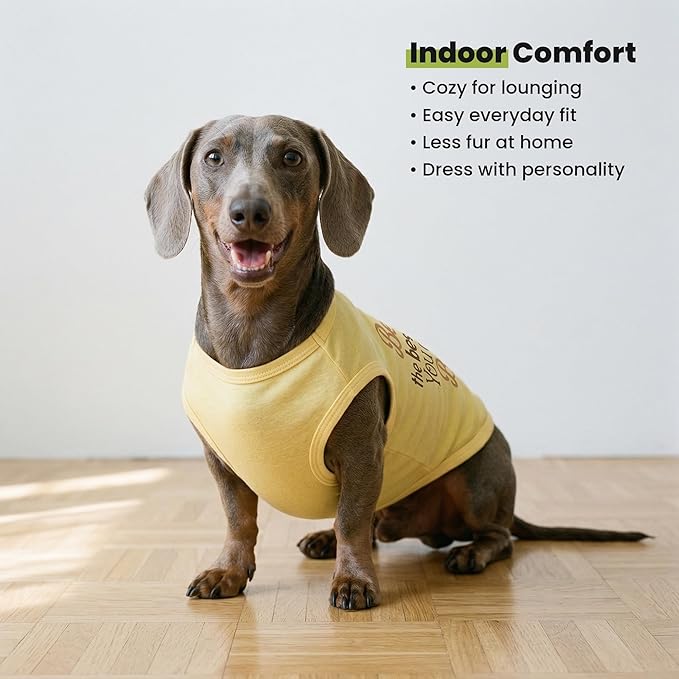 Fitwarm Bee the Best You Can Dog Shirt, Summer Clothes for Small Dogs Boy Girl, Funny Pet Outfit, Yellow, Brown, Blue, XS