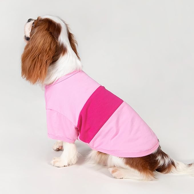 Fitwarm 3 Pack Color Block Striped Dog Shirt, Summer Dog Clothes for Small Dogs, Breathable Lightweight Dog Tshirt, Pet Outfit, Pink, Orange, Purple, XXL