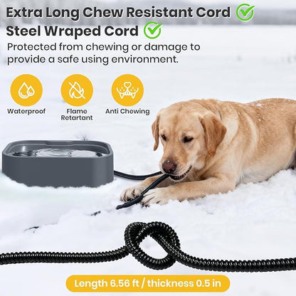 IPOW Extra Large Heated Pet Bowl with 5 Layers Design for Heating & Heat Preservation Provides Drinkable Water & Food in Winter Heated Water Bowl for Cat Rabbit Chicken Duck Squirrel, 194 fl oz