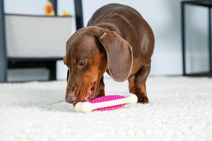 Hartz Chew 'n Clean Tuff Bone Bacon Scented Dental Dog Chew Toy - Medium (Pack of 2)