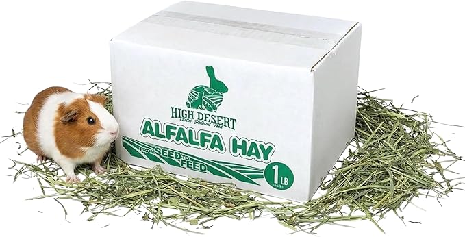 High Desert Alfalfa Hay, Protein Rich Soft Leaf Food for Young Growing Animals, Natural Rabbit Food and Guinea Pig Hay, Supports Digestive Health, Small Pet Supplies, Fresh Hand Packed 1 Lb Box
