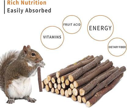 700g Apple Sticks Molar Wood Treats, Rabbit Toys Chinchilla Guinea Pig Bunny Toys Wood Chews Sticks for Teeth Rabbit Food Guinea Pig Hamster Gerbil Chews Small Animals Snacks(200 Pcs)