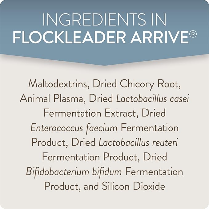 FlockLeader Arrive, Daily Probiotic & Prebiotic Poultry Supplement for Young Chickens 0-8 Weeks Old, 8 oz
