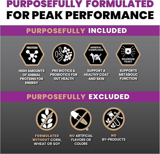 VICTOR Super Premium Dog Food – Professional Kibble Food – Super Premium Kibble with 26% Protein – Gluten-Free with Beef, Chicken & Pork Meals – for High Energy and Active Dogs & Puppies, 5lbs