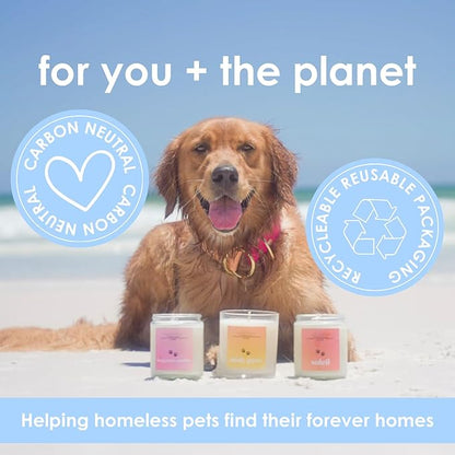 Pet Safe Wax Melts for Dogs | Non Toxic Soy Wax Melts | Natural, Paraffin-Free, Clean Burning | Odor Eliminating Wax Cubes | Sandy Paws