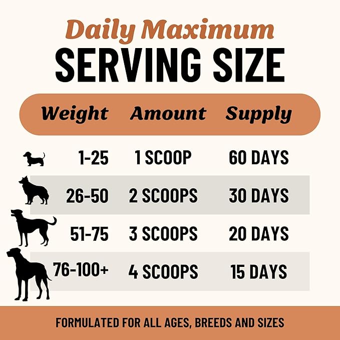 Fido's Longevity Bone Broth for Dogs - Turkey Tail + Maitake Mushroom - Grass-Fed Beef Bone Broth Powder - Dog Immune Support - Mushroom Supplement for Dogs - Dog Food Topper for Dry Food - 60 Scoops