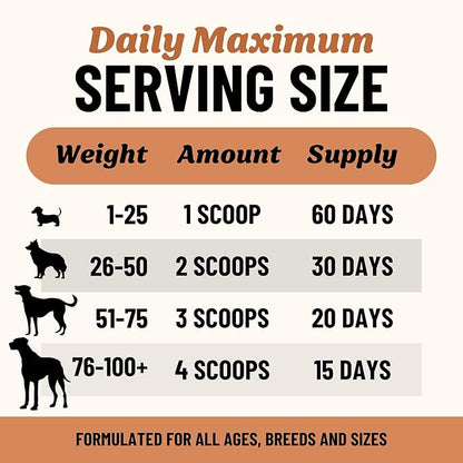 Fido's Longevity Bone Broth for Dogs - Turkey Tail + Maitake Mushroom - Grass-Fed Beef Bone Broth Powder - Dog Immune Support - Mushroom Supplement for Dogs - Dog Food Topper for Dry Food - 60 Scoops