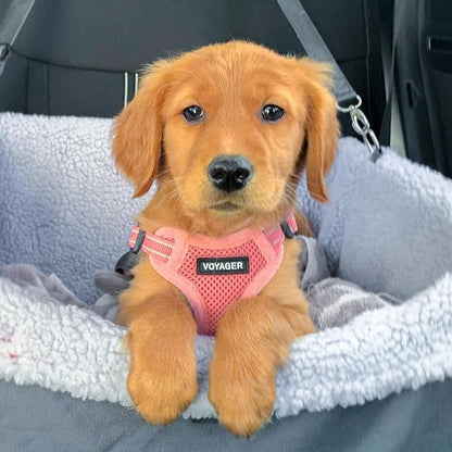Best Pet Supplies Voyager Adjustable Step-in Flex Breathable Mesh Dog Harness for Small Medium Large Dogs Leash Set (Pink), XS