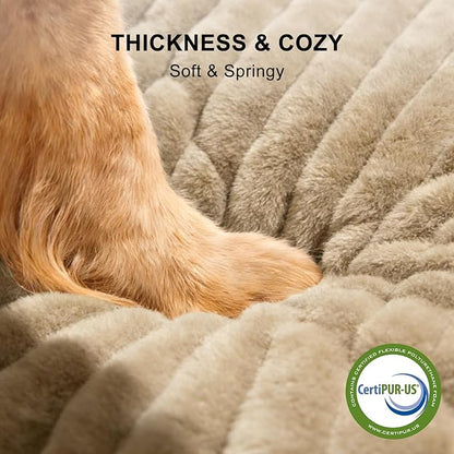 FURTIME Dog Bed for Small Dogs, Washable Orthopedic Dog Bed with Removable Cover, Rectangle Soft Calming Sleeping Puppy Bed Durable Pet Cuddler with Anti-Slip Bottom, Beige, S (20"x19"x6")